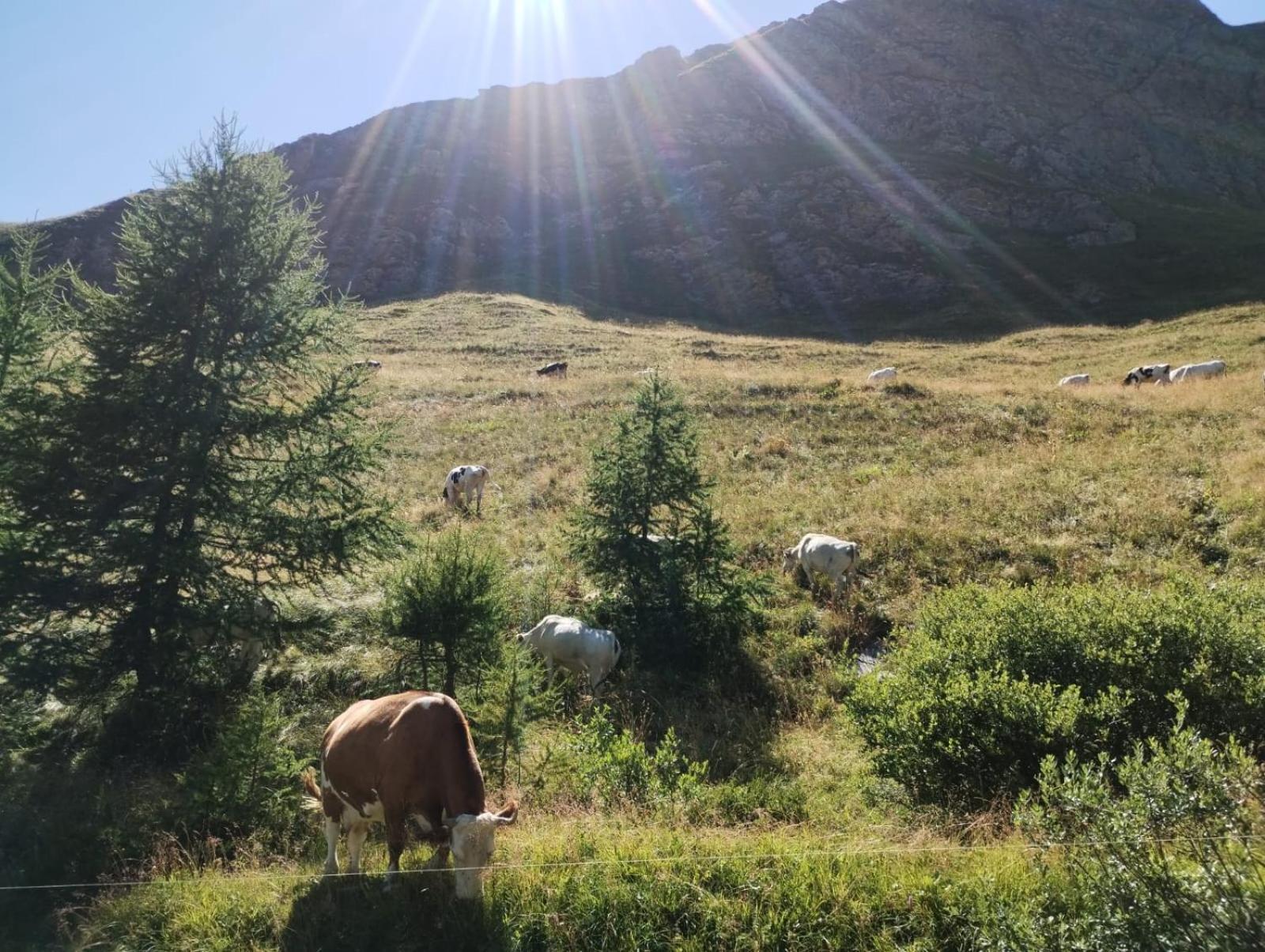 Locazione Turistica Varaita-Brossasco Exteriör bild