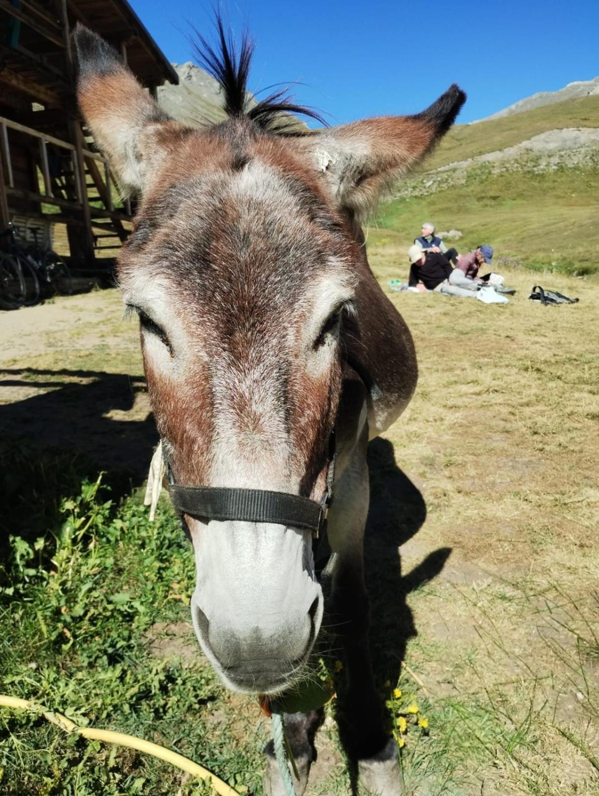 Locazione Turistica Varaita-Brossasco Exteriör bild